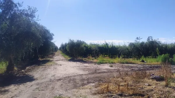 Campo en Publica S/N