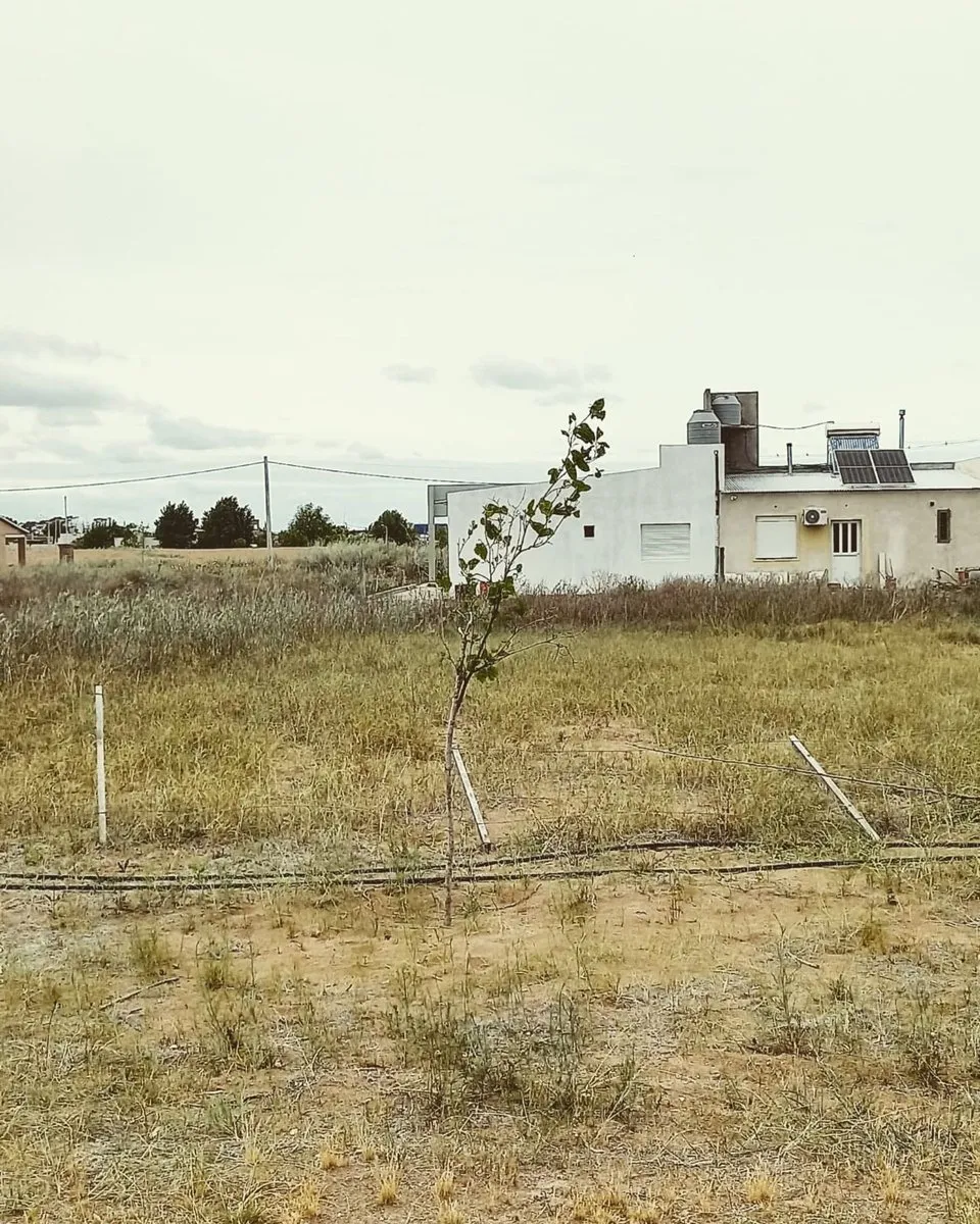 Lote en Calle Lauquen-mapu 700