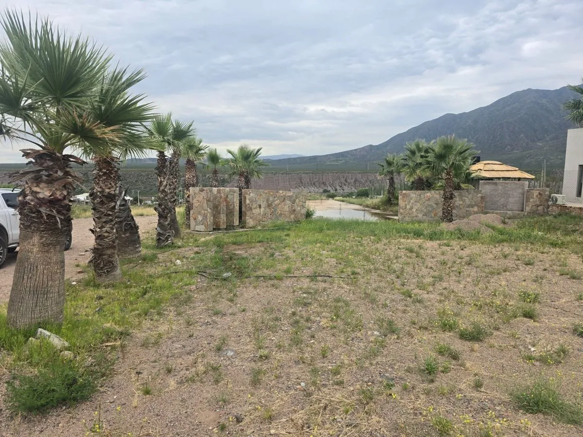 Lote en Ruta 82 Colonia Suiza Cacheuta LujÁn de Cuyo 0