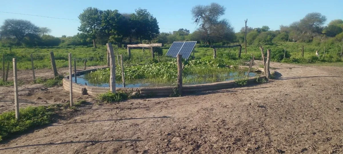 Campo en Pbco Sn Lote 7c S/N