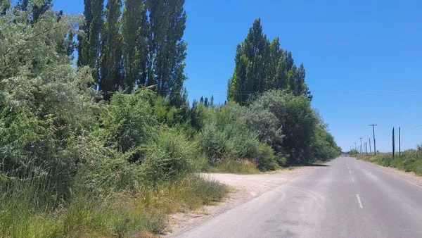 Lote en Ruta Provincial 313 S/N