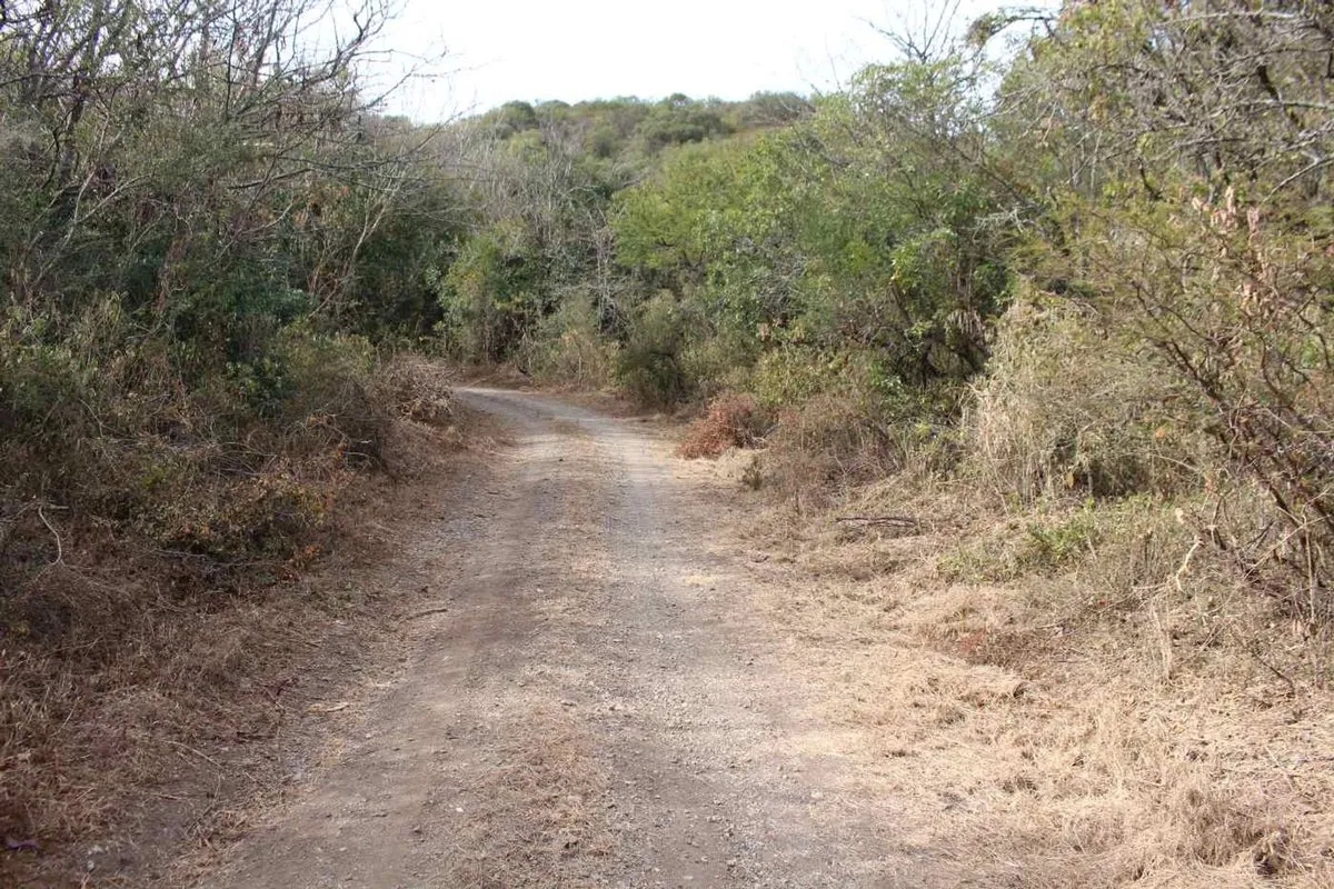 Lote en Pan de Azucar S/N