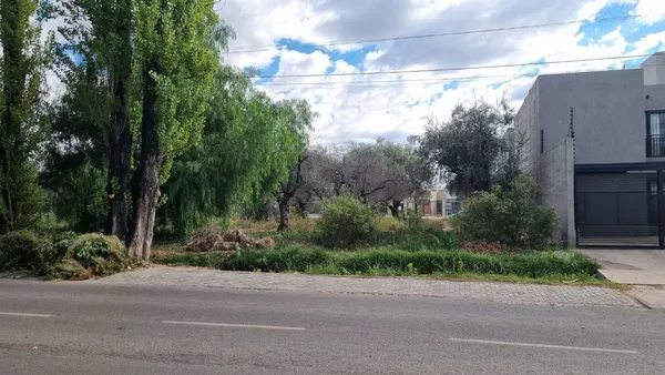 Lote en Palma S/n, Ciudad, Maipú, Mendoza S/N