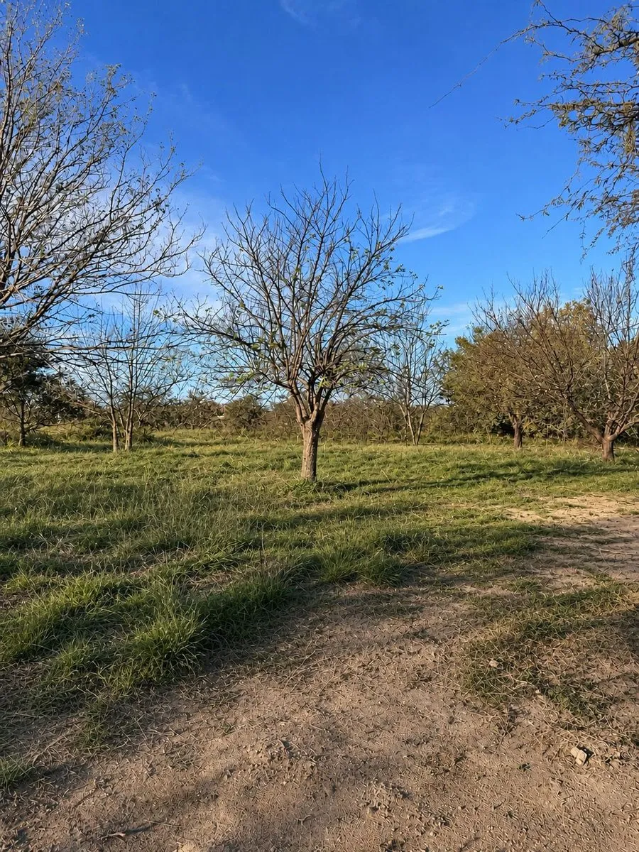 Lote en Avenida Uruguay S/N