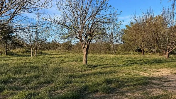 Lote en Avenida Uruguay S/N