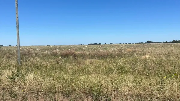 Lote en Ruta 1 - Lote 4 S/N