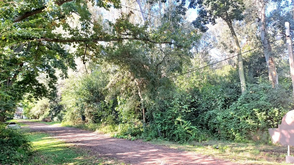 Lote en Ruta Provincial 215 S/N