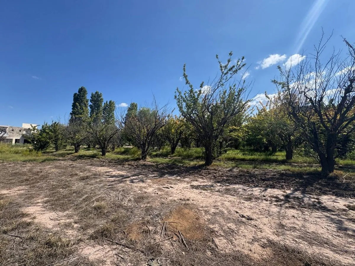 Lote en José María Videla 1300