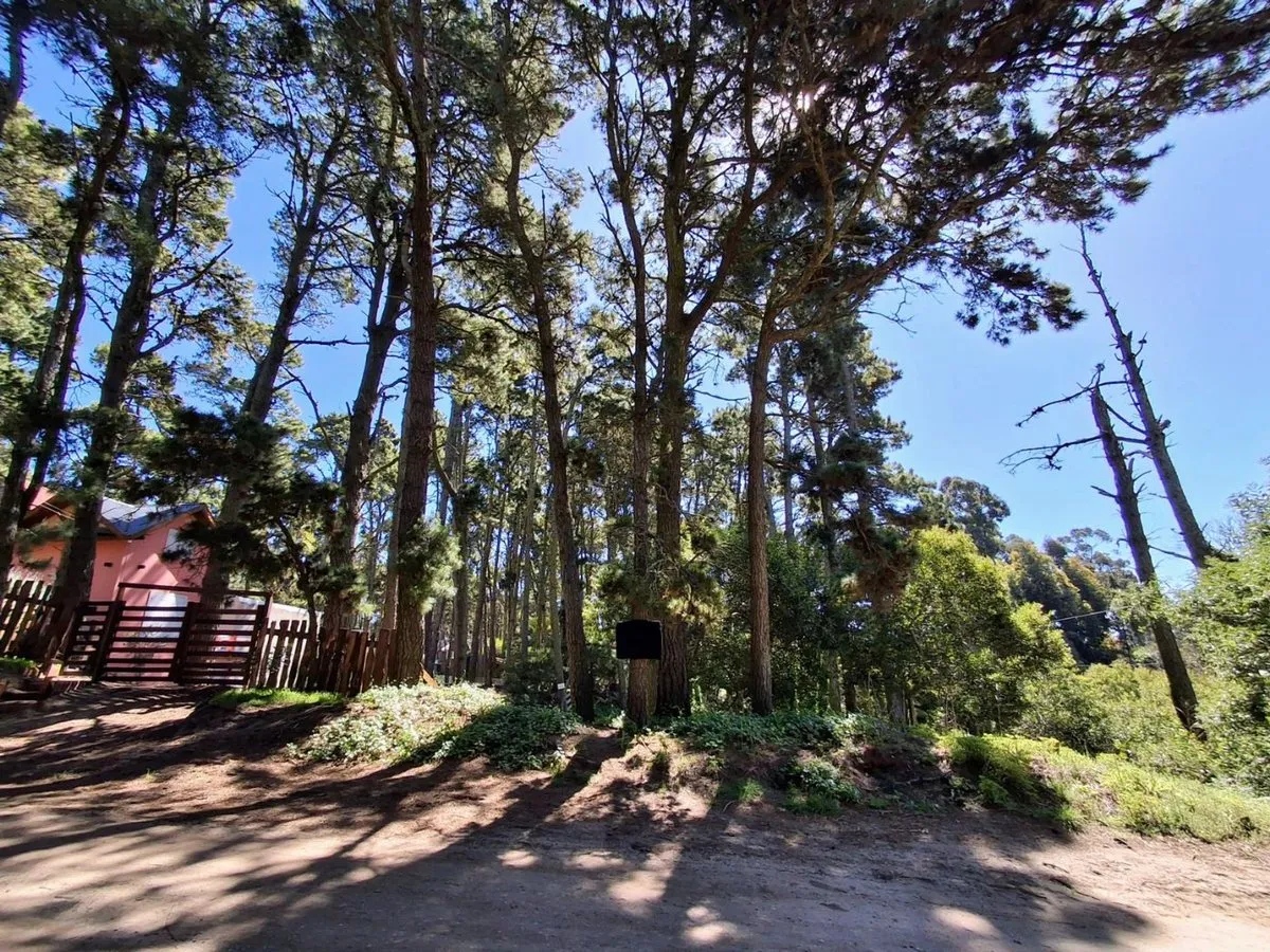Lote en Miramar Entre Calle 36 y 37 S/N
