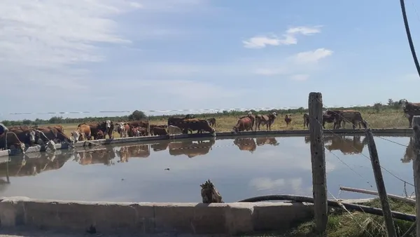 Campo en Zona Rural S/N