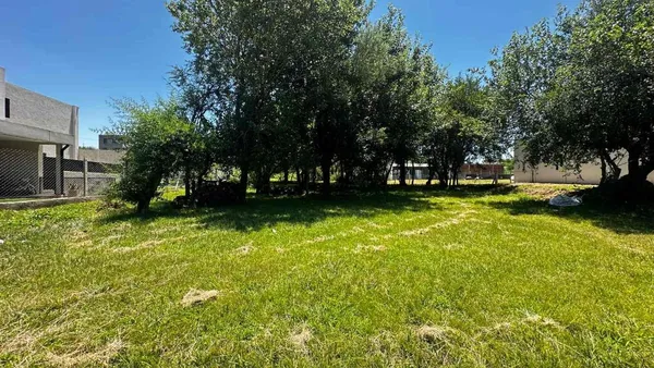 Lote en Publica 0