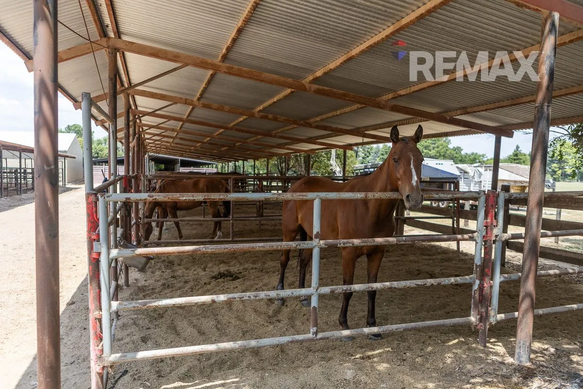 Lote en Calle Desconocida S/N