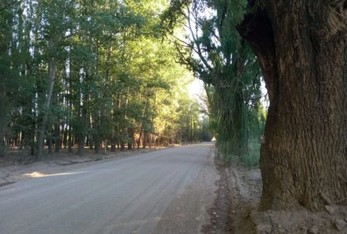 Lote en Ruta Provincial 52 S/N