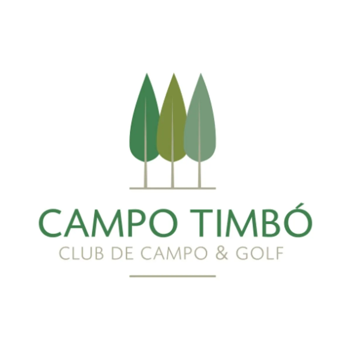 Lote en Campo Timbo Lote D 251 200