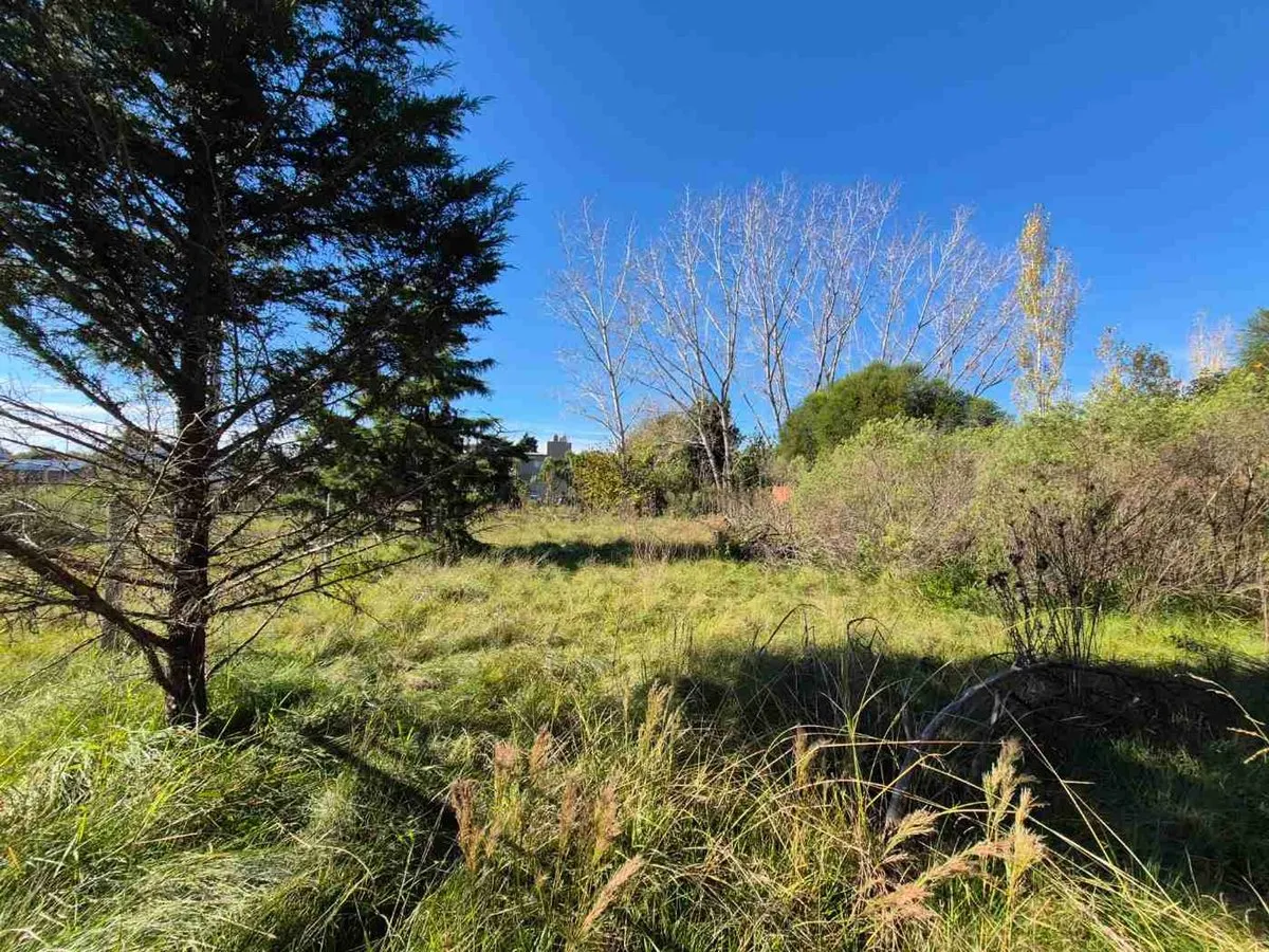 Lote en E. Calcagno S/N