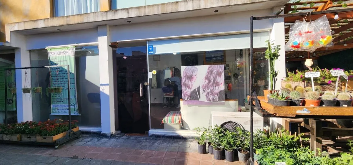 Local Comercial en General Las Heras 0