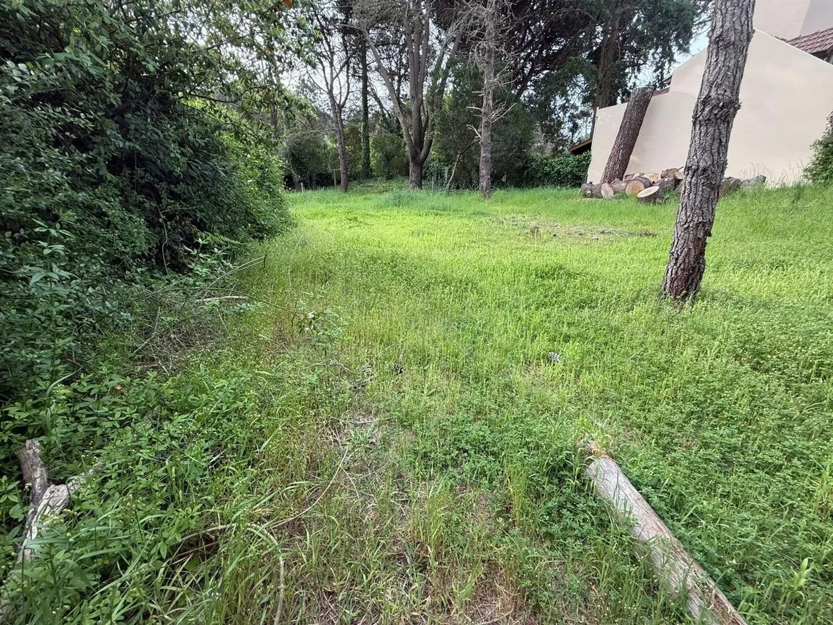 Lote en Alameda 200
