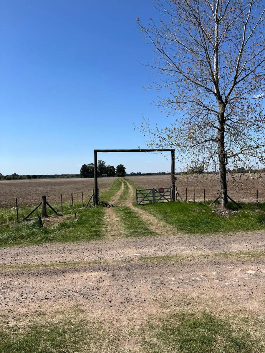 Campo en Calle Desconocida S/N