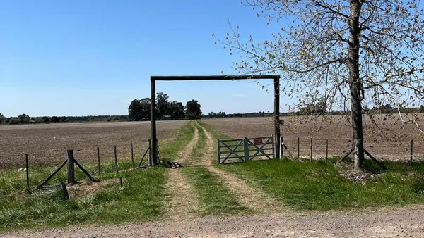 Campo en Calle Desconocida S/N