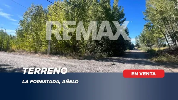 Lote en Calle Desconocida S/N
