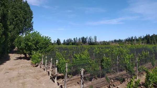Lote en Jaime Prats S/N