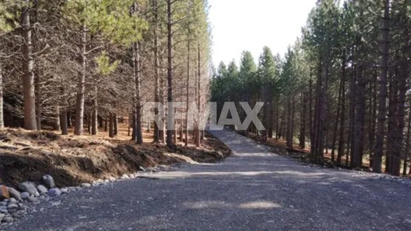 Lote en Ruta Nacional 40 2200