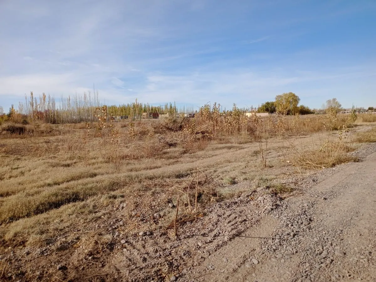 Lote en Remo Santarelli S/N