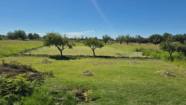 Lote en Carril Norte y Martinez S/N