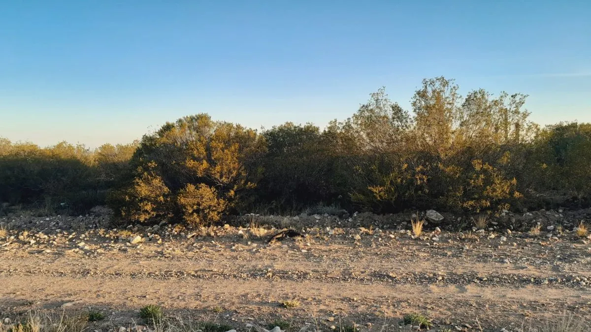 Lote en La Union S/N