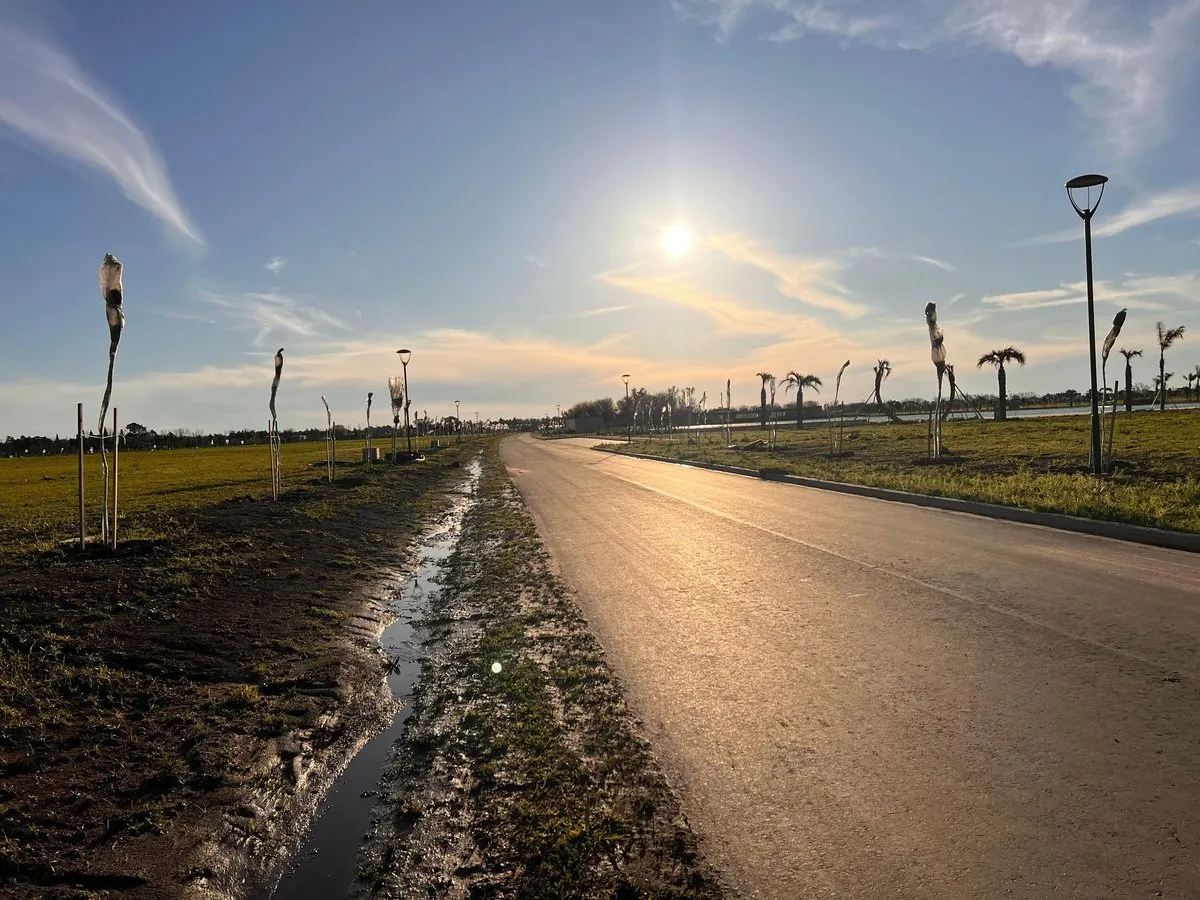 Lote en Pedro A. Ríos 400