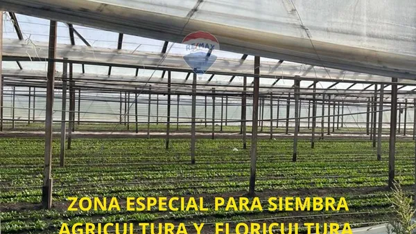 Campo en Calle Desconocida S/N