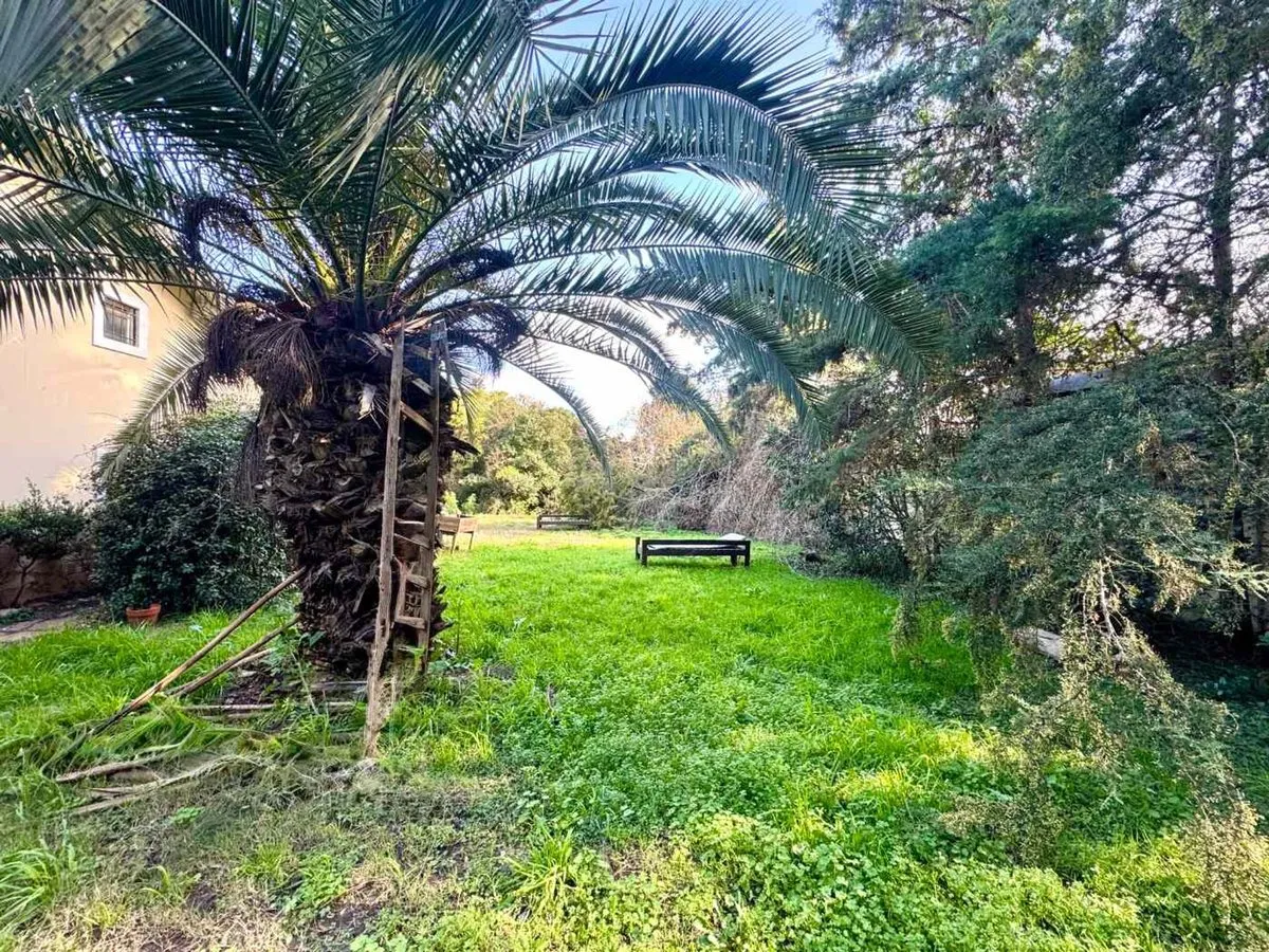Lote en Los Narcisos y Ruta 8 0