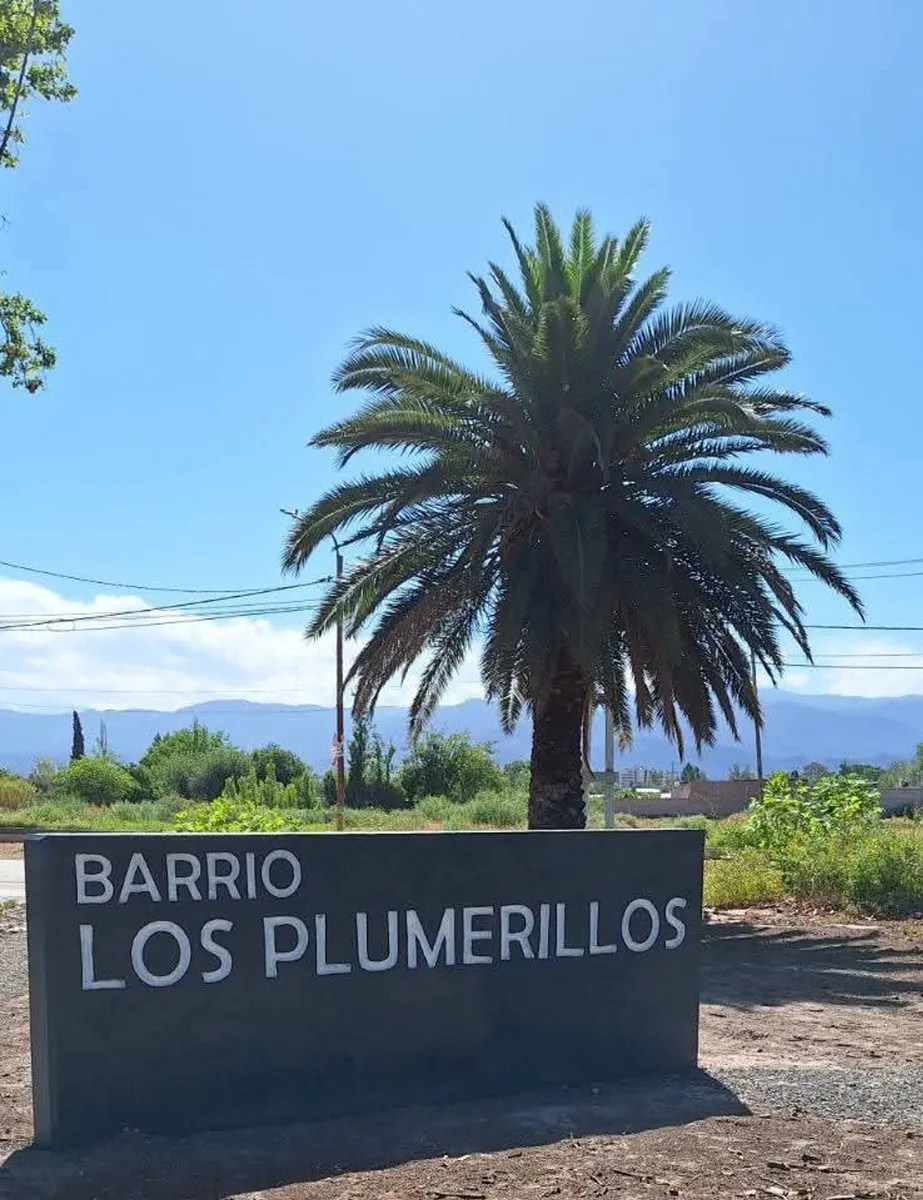 Lote en Pedro Pascual Segura S/N