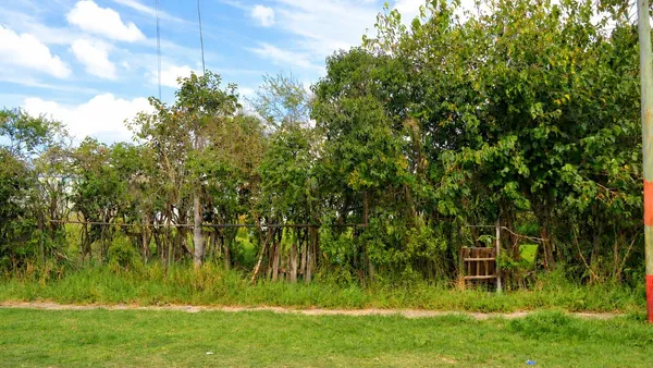 Lote en 123 E/ 34 y 35 S/N