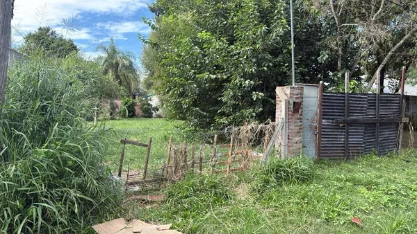 Lote en Domingo Silva S/N