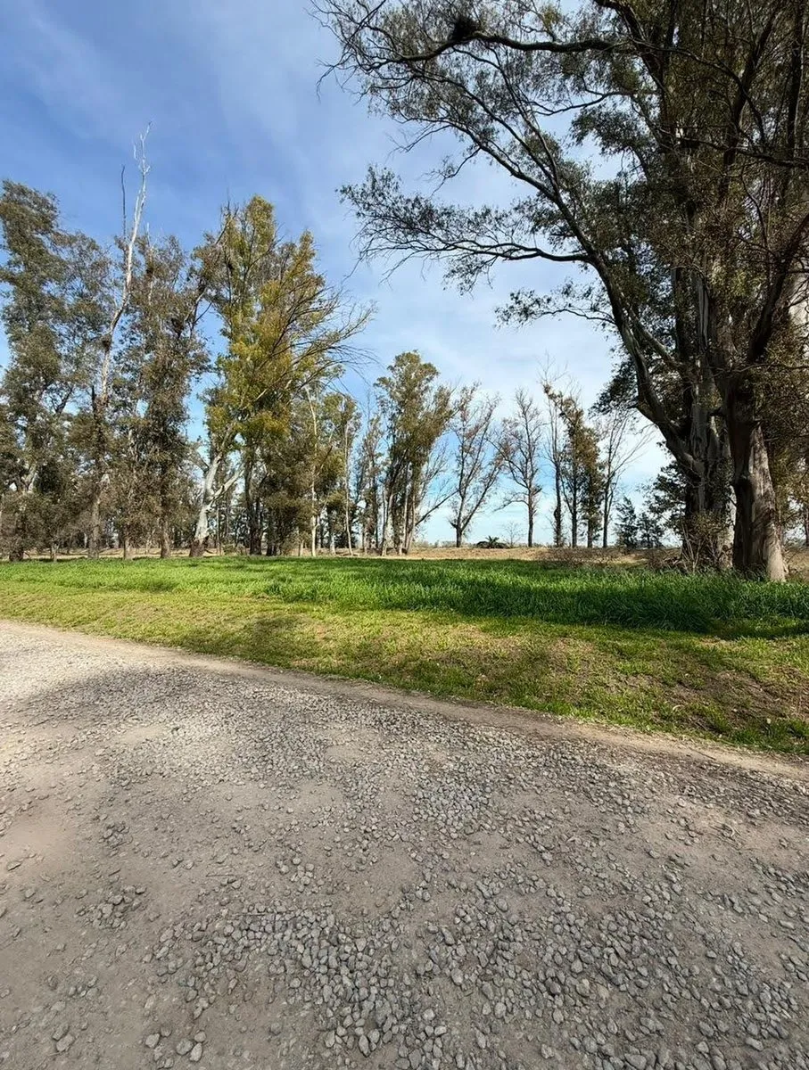 Lote en Altos de Mercedes Club de Campo S/N
