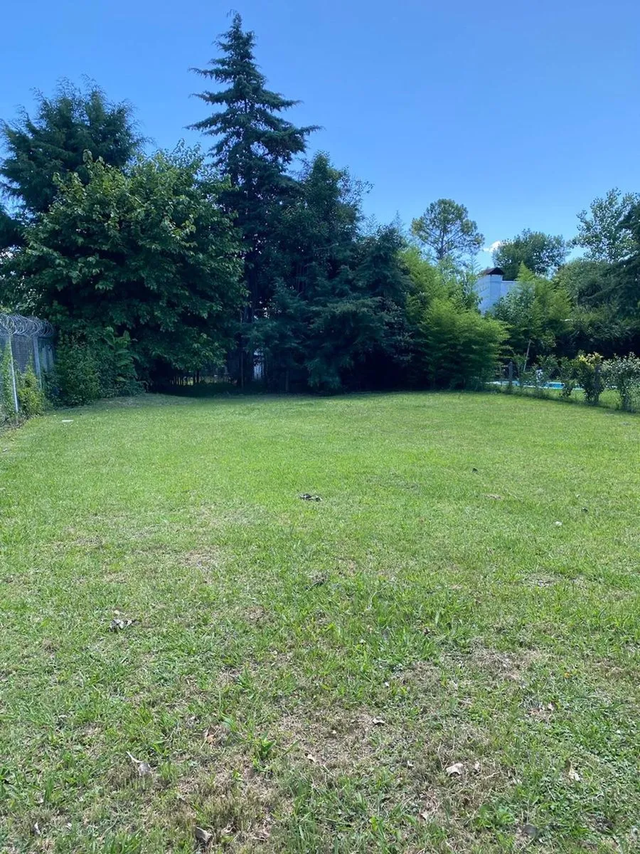 Lote en Pedro Nolasco Carrion 400