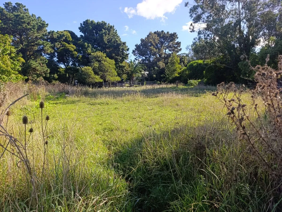 Lote en Estancia la Copelina S/N
