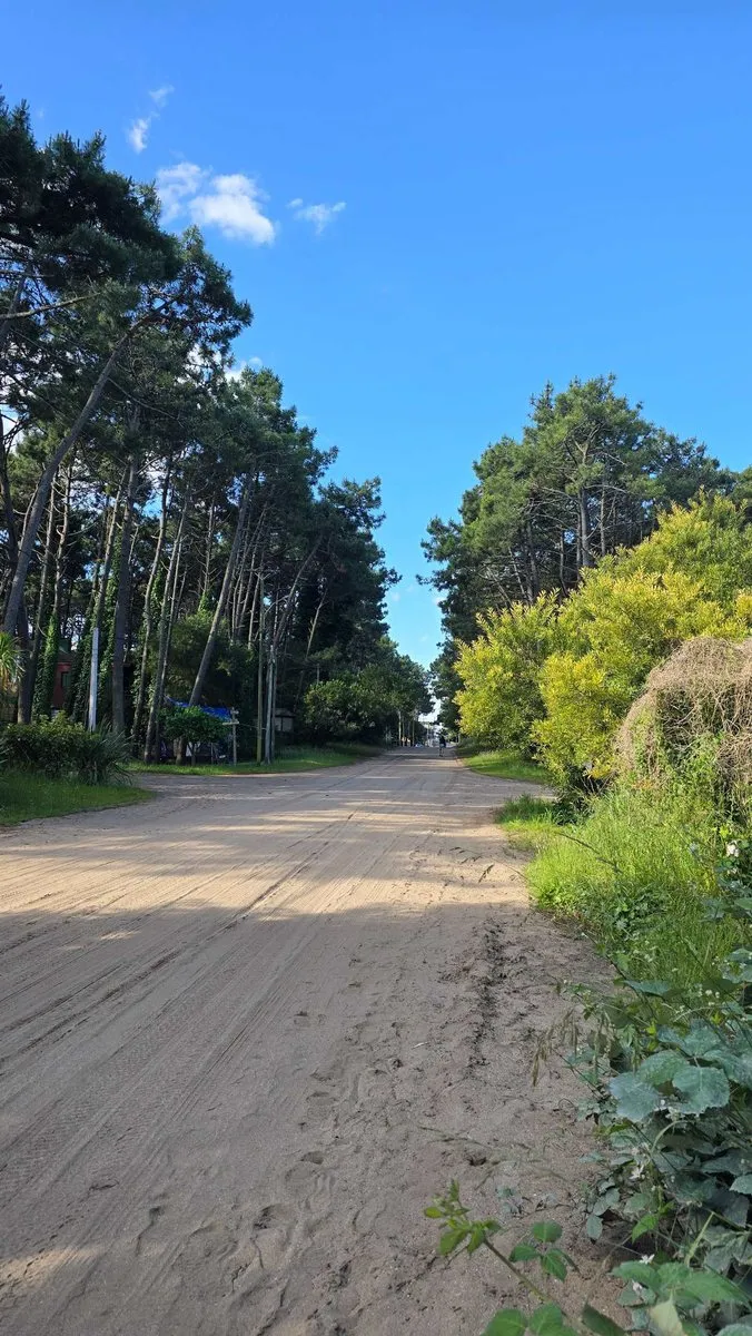 Lote en Av. Mar del Plata Entre Calles 40 y 41 S/N