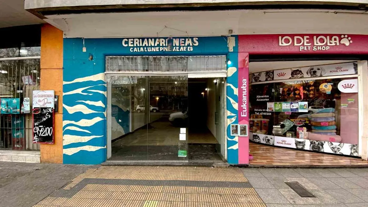 Local Comercial en Avenida Pedro Luro 4100