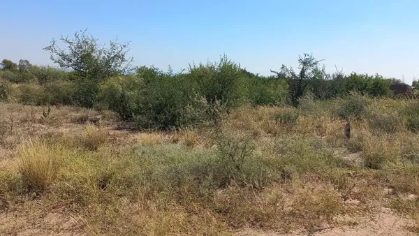 Lote en Barrio Las Lomas - Bloque D - Lote 3 - Suyuque S/N