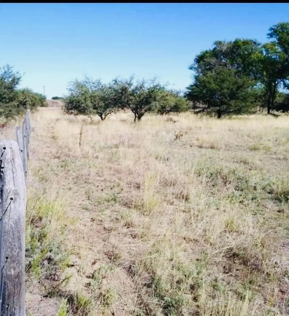 Lote en Bayo Sur y Tordillo S/N
