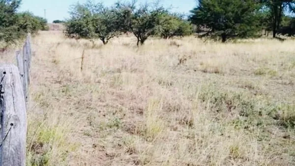 Lote en Bayo Sur y Tordillo S/N