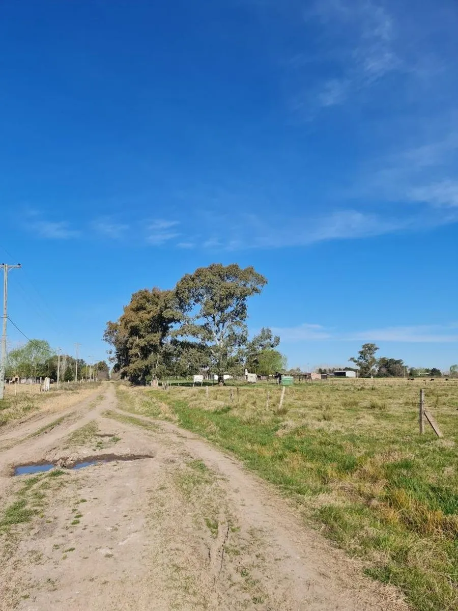 Lote en El Cardenal y el Picaflor S/N