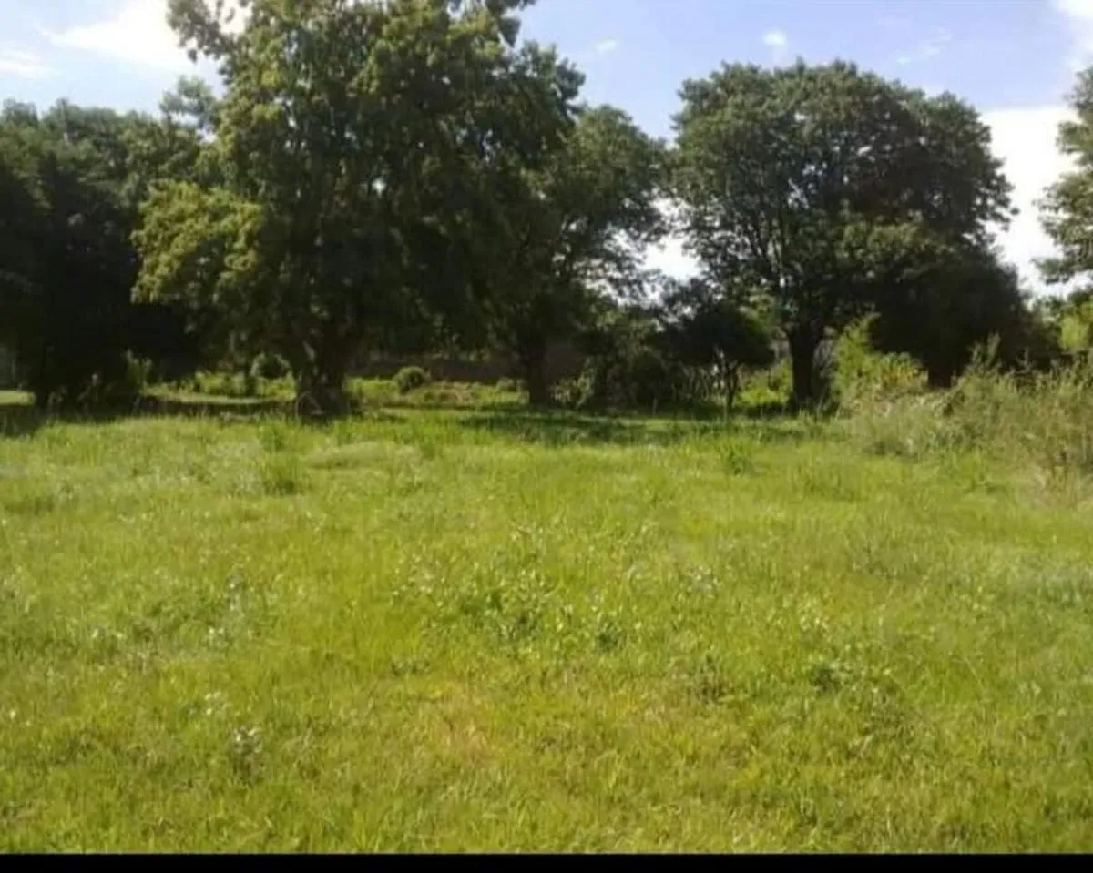 Lote en Lisandor de la Torre S/N