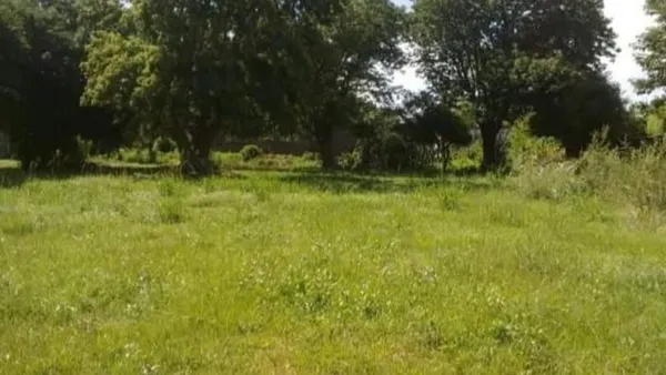 Lote en Lisandor de la Torre S/N