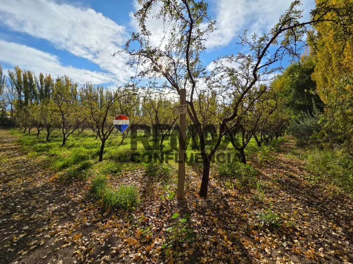Campo en Ruta 151 y Rp69 S/N