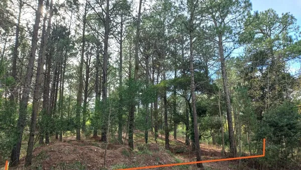Lote en Paraiso Entre Petrel y Pelicano S/N