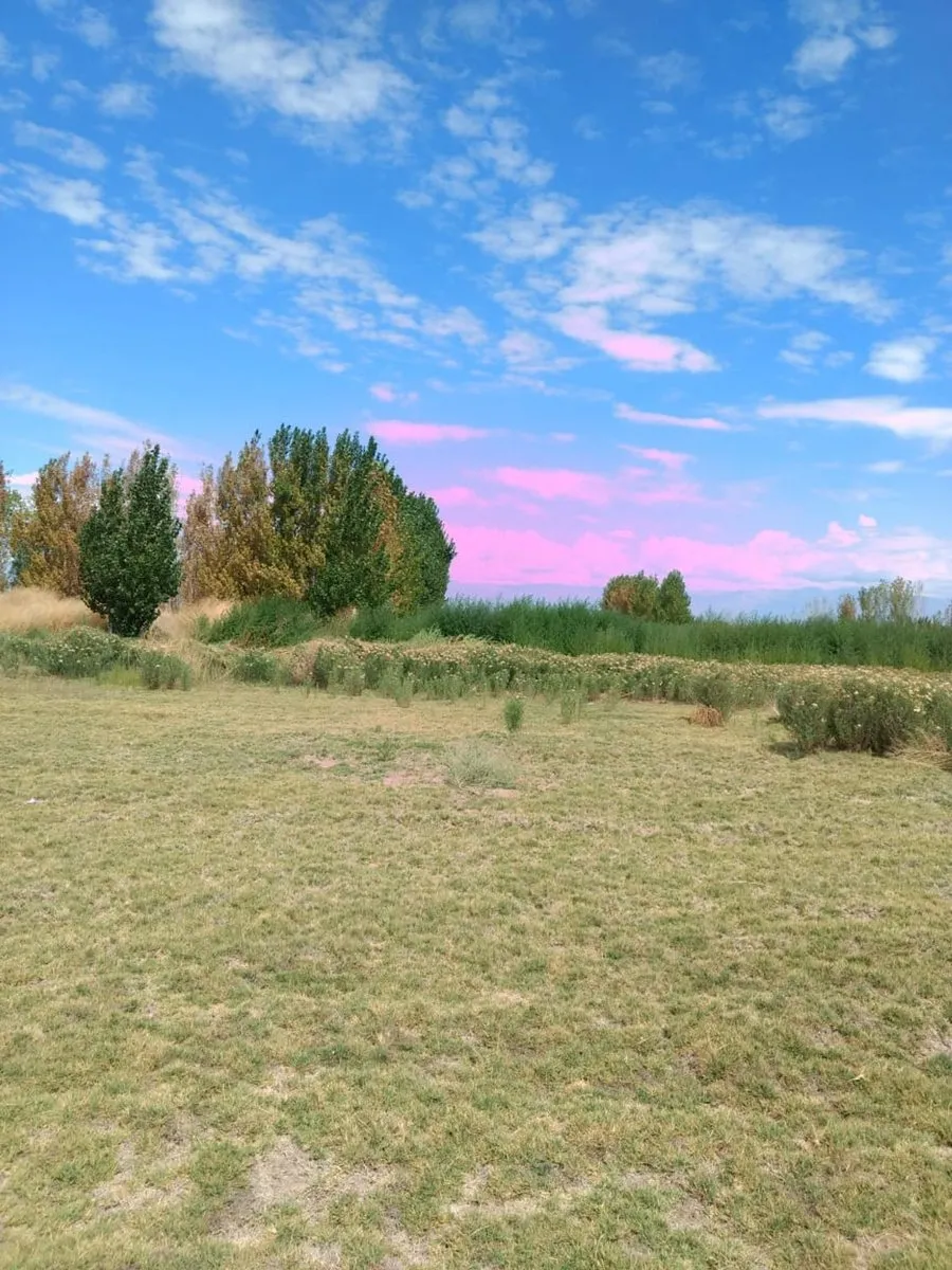 Lote en Ruta Nacional 40 Km 3324 0