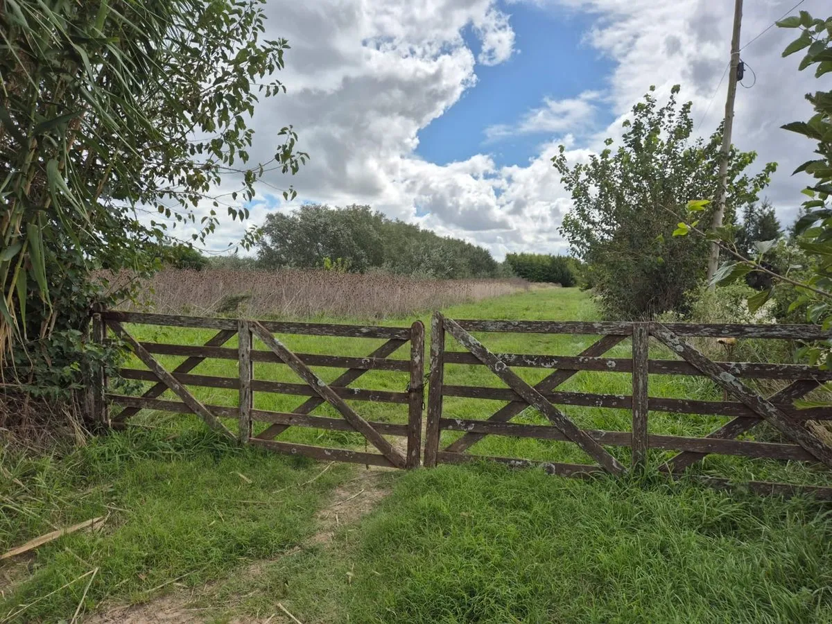 Campo en 659 y 30 S/N
